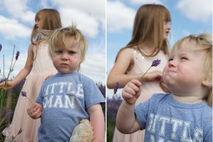 Family photoshoots Hertfordshire Lavender fields
