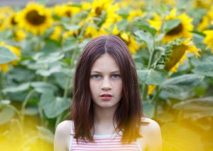 hitchin-lavender-photographer-sunflowers-hitchin-sharon-cooper