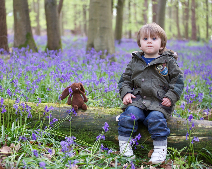 Child-playing-in-bluebells-Hertfordshire-by-SharonCoooper.co.uk_0001