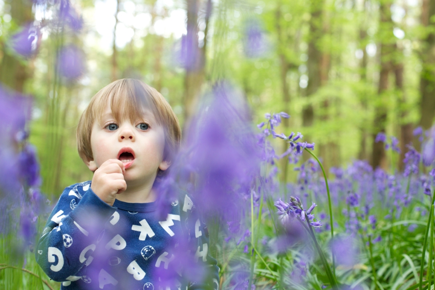 Child-playing-in-bluebells-Hertfordshire-by-SharonCoooper.co.uk_0023